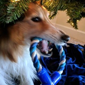 Meet your Posher, Jeff